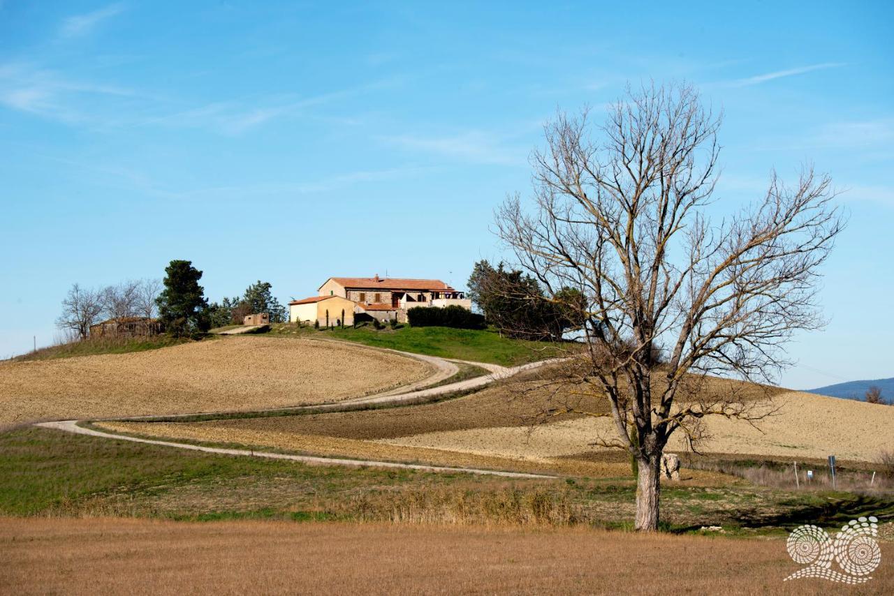 Poggio Alla Pietra 26 Porrona Bagian luar foto