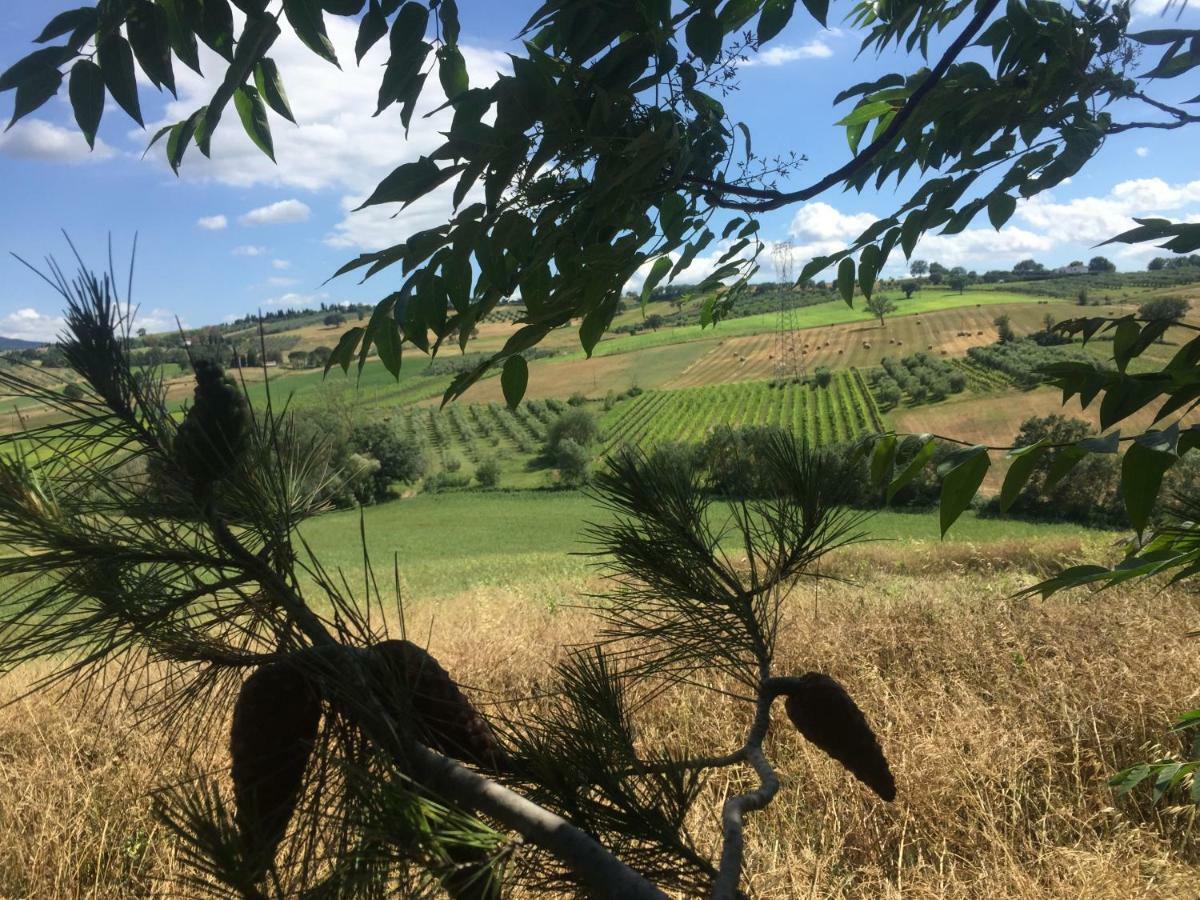 Poggio Alla Pietra 26 Porrona Bagian luar foto