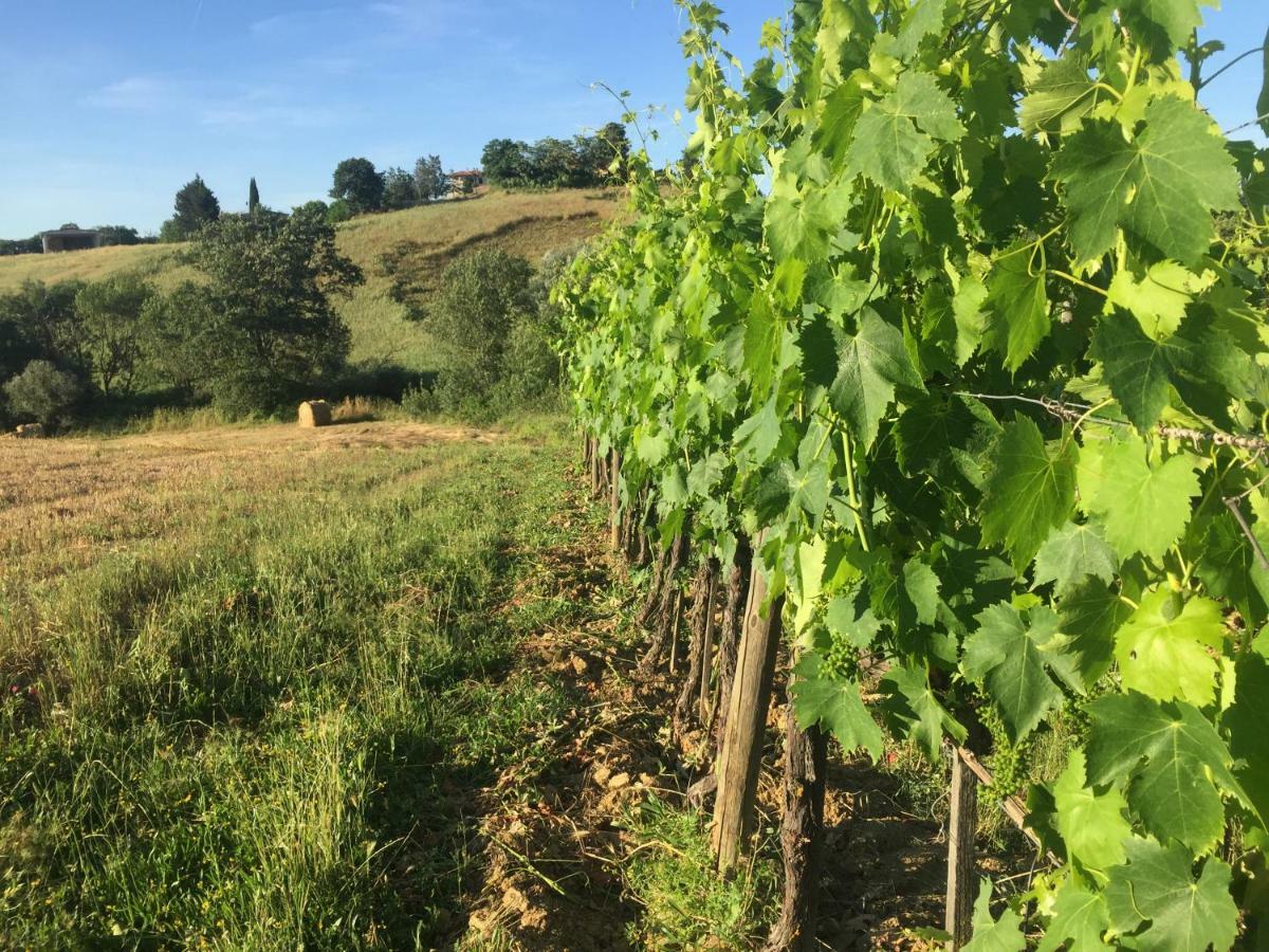 Poggio Alla Pietra 26 Porrona Bagian luar foto