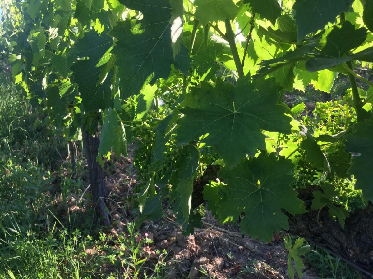 Poggio Alla Pietra 26 Porrona Bagian luar foto