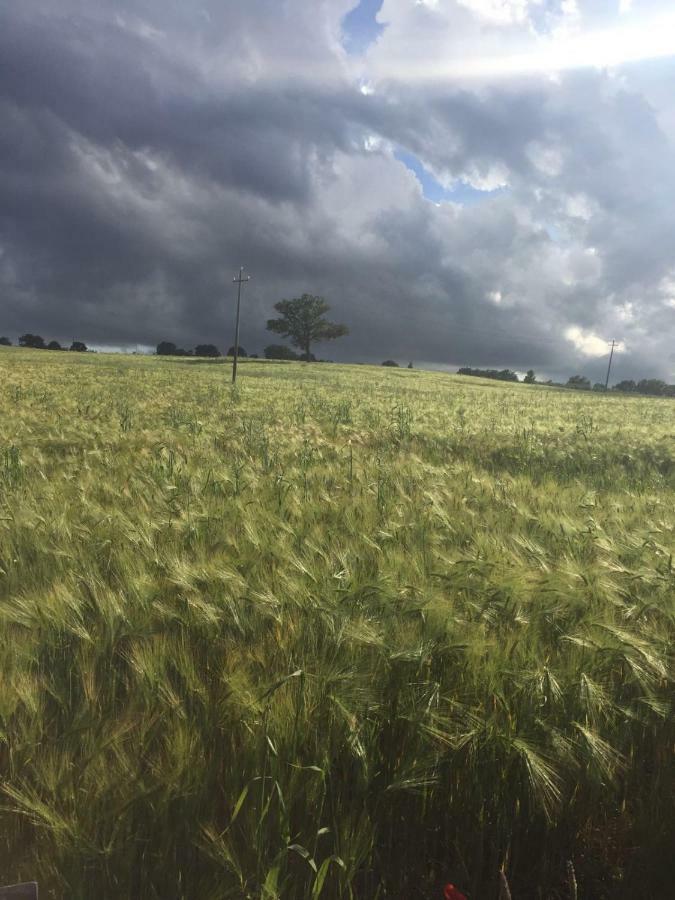 Poggio Alla Pietra 26 Porrona Bagian luar foto