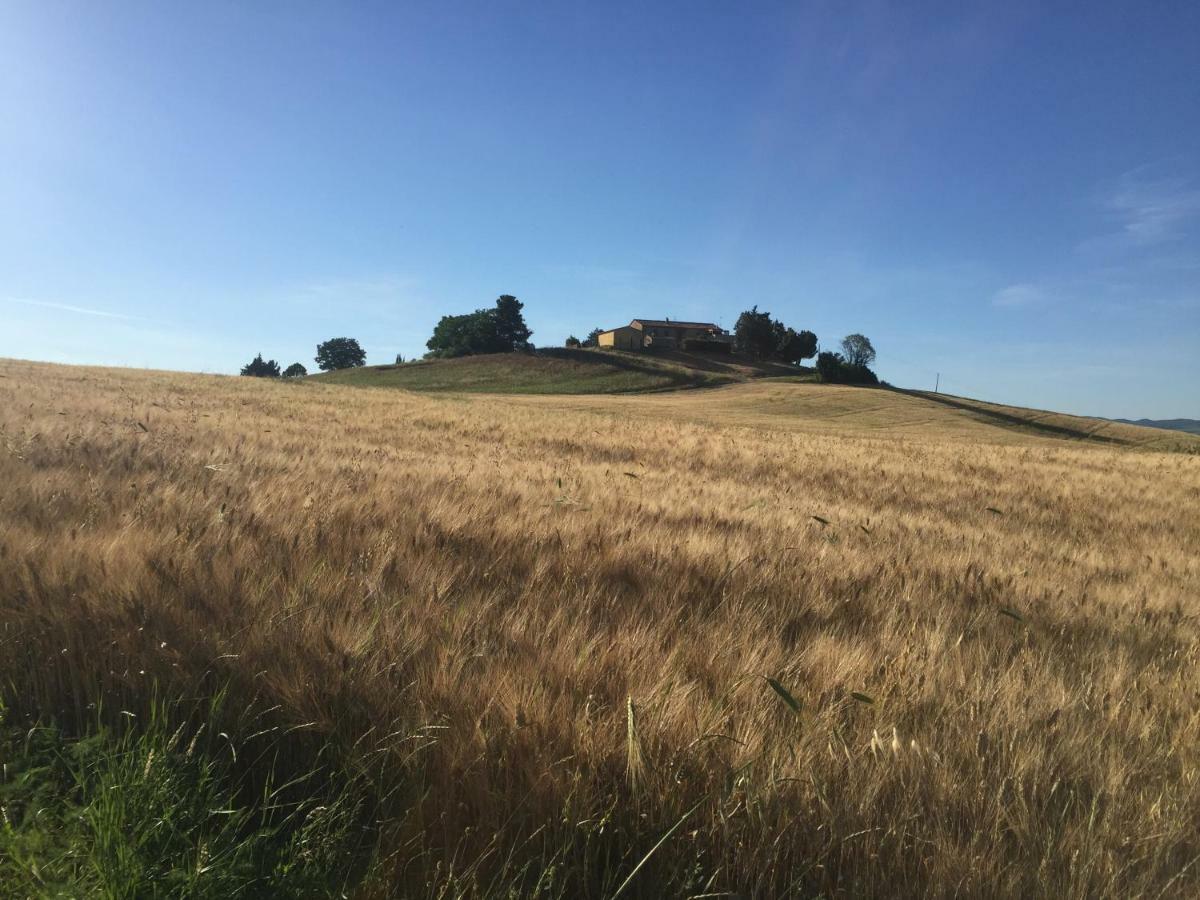 Poggio Alla Pietra 26 Porrona Bagian luar foto