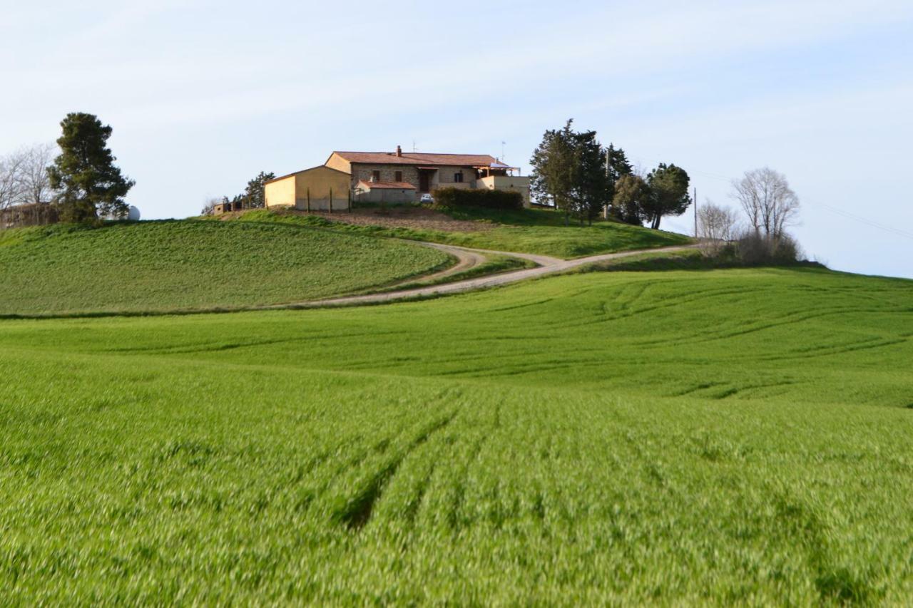 Poggio Alla Pietra 26 Porrona Bagian luar foto