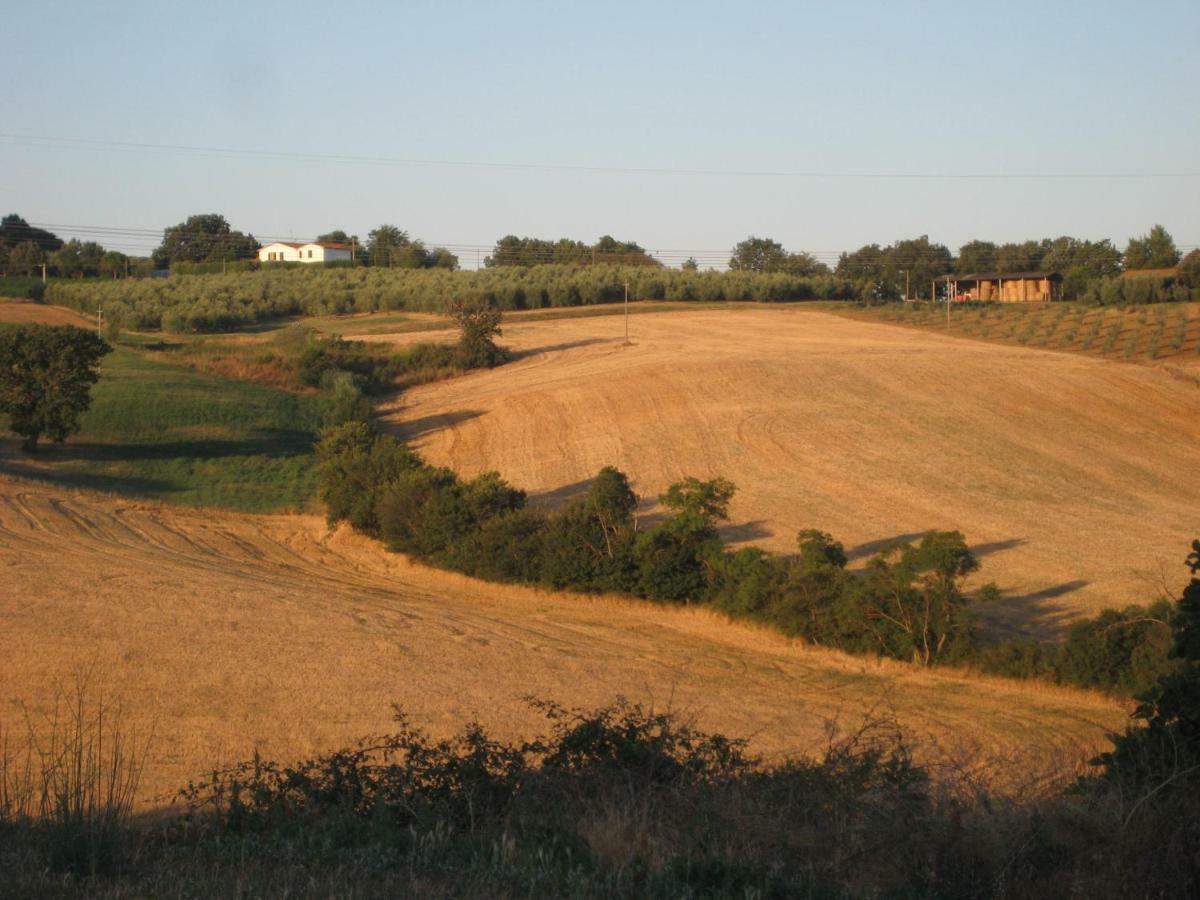 Poggio Alla Pietra 26 Porrona Bagian luar foto