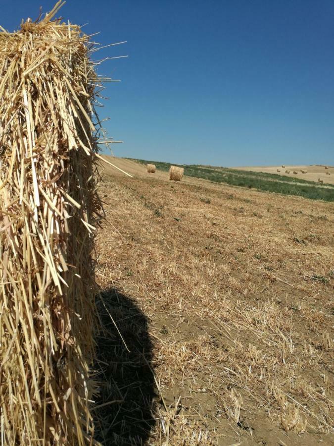 Poggio Alla Pietra 26 Porrona Bagian luar foto